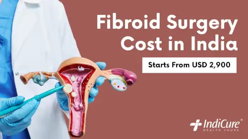Fibroid Surgery Cost in India
